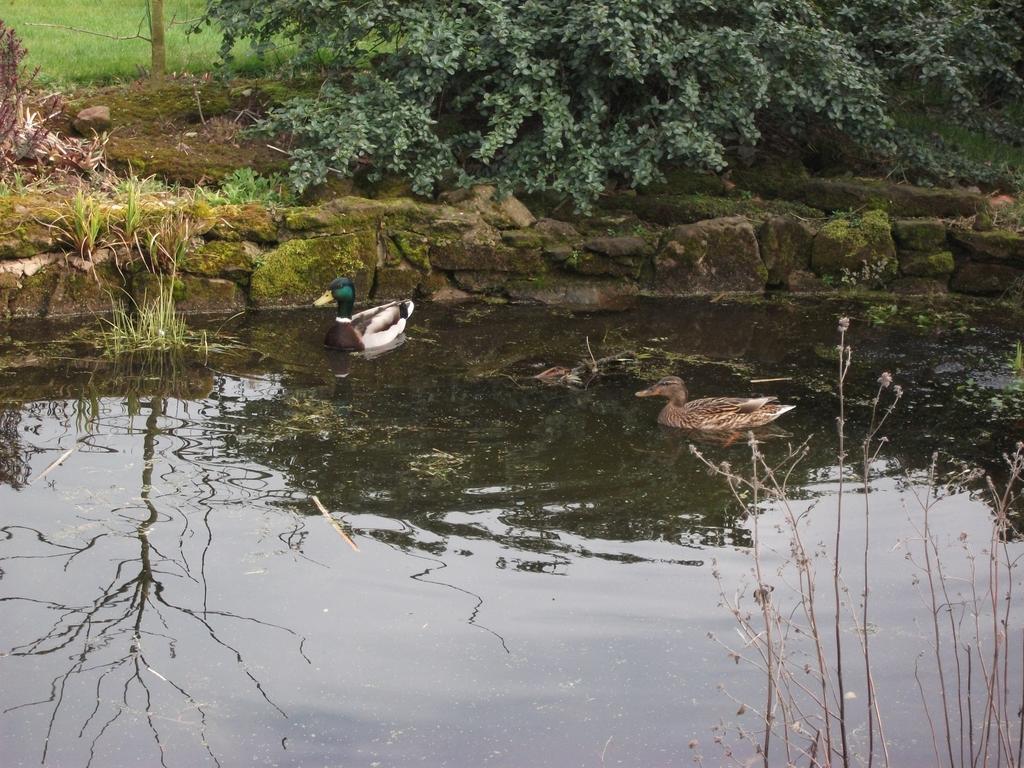 Couette-café Church Farm Near Telford And Ironbridge 4*