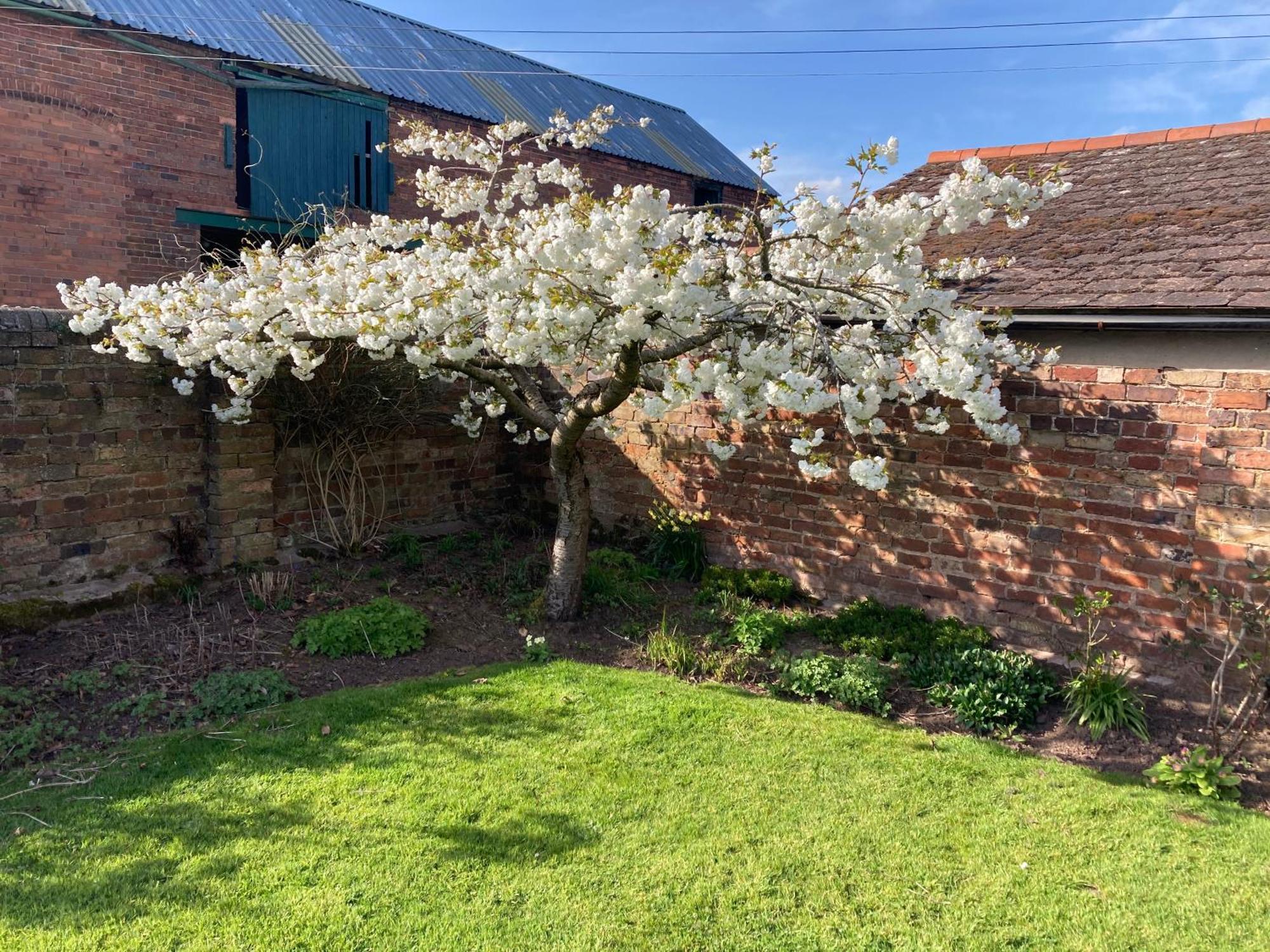 Church Farm Near Telford And Ironbridge Couette-café Shifnal