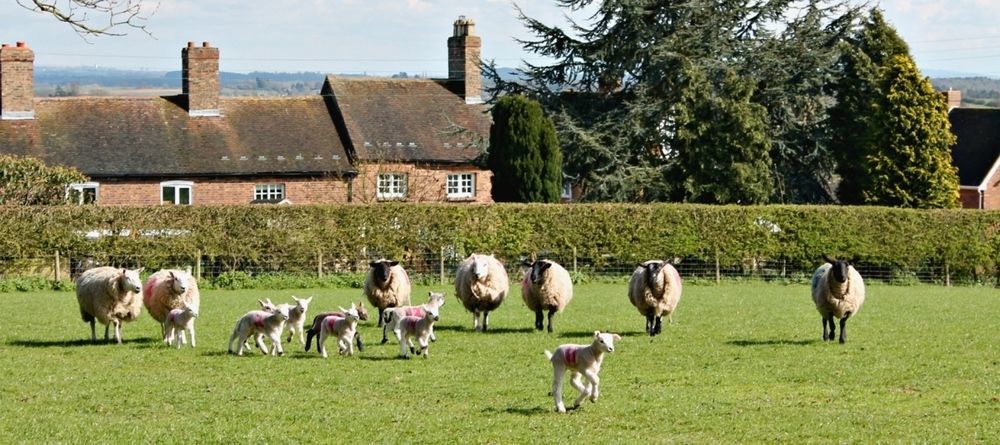 Couette-café Church Farm Near Telford And Ironbridge 4*