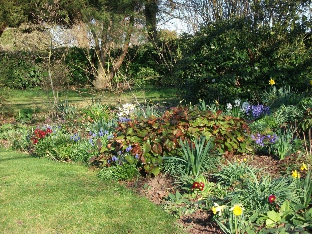 Couette-café Church Farm Near Telford And Ironbridge 4*