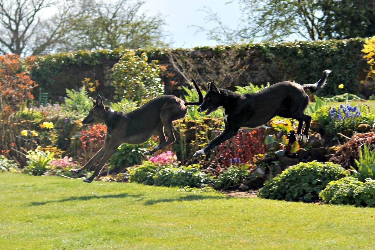 Church Farm Near Telford And Ironbridge 4* Shifnal